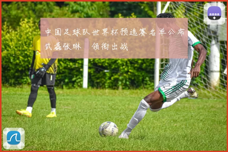 中国足球队世界杯预选赛名单公布武磊张琳芃领衔出战