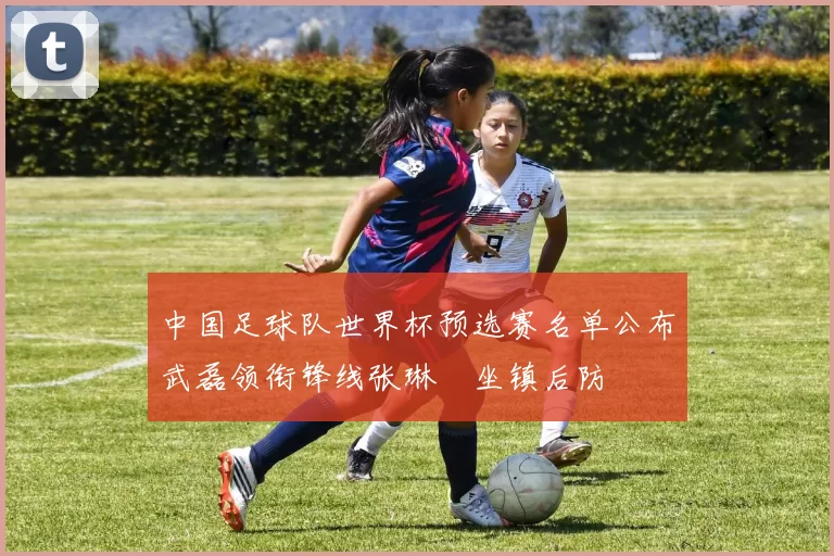 中国足球队世界杯预选赛名单公布武磊领衔锋线张琳芃坐镇后防
