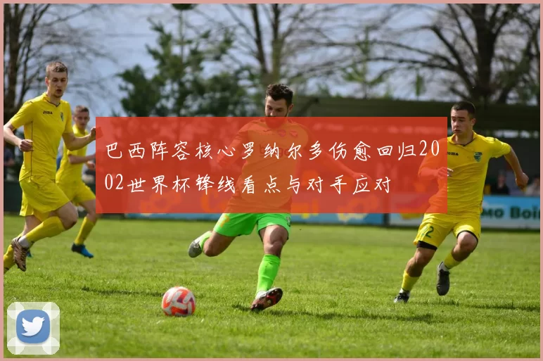 巴西阵容核心罗纳尔多伤愈回归2002世界杯锋线看点与对手应对