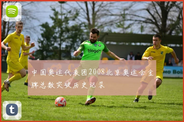 中国奥运代表团2008北京奥运会金牌总数突破历史记录