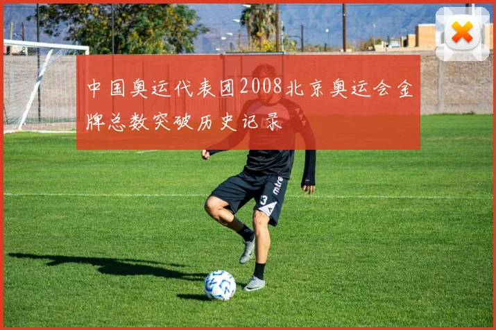 中国奥运代表团2008北京奥运会金牌总数突破历史记录