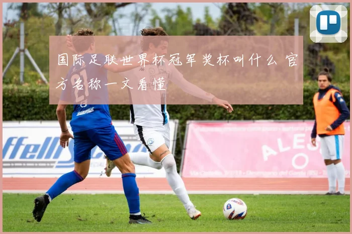 国际足联世界杯冠军奖杯叫什么 官方名称一文看懂