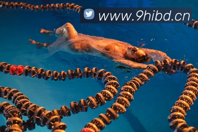 数据防护可视化